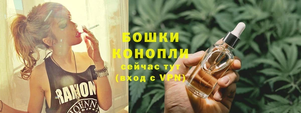 прущие грибы Корсаков