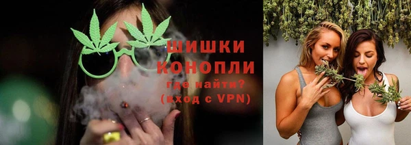 прущие грибы Корсаков