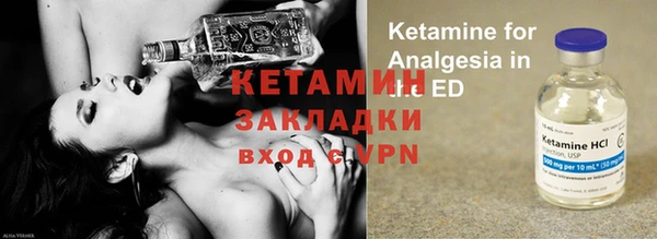 прущие грибы Корсаков