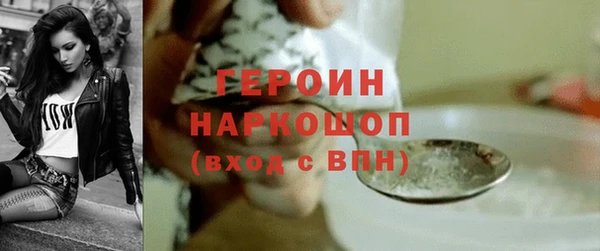 прущие грибы Корсаков