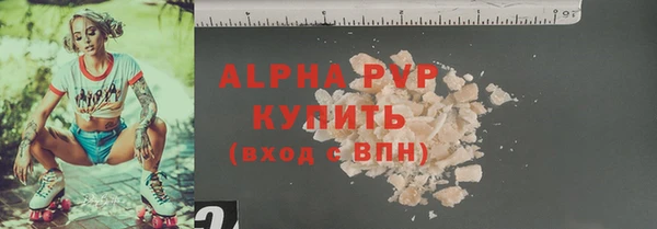 прущие грибы Корсаков