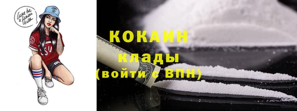 прущие грибы Корсаков
