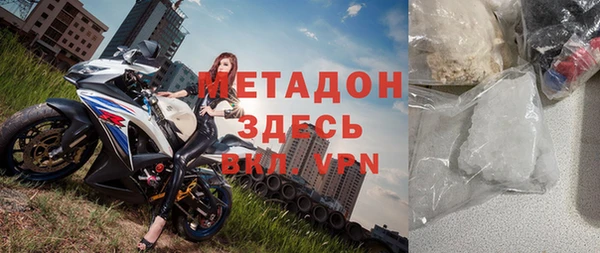прущие грибы Корсаков