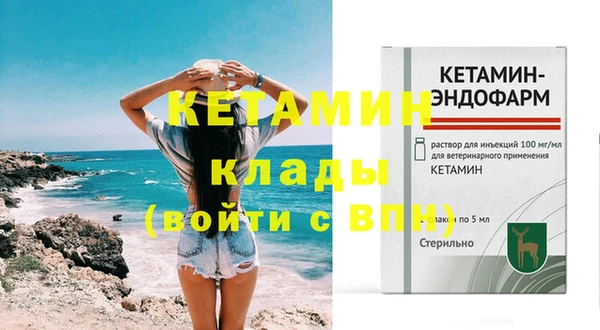 прущие грибы Корсаков
