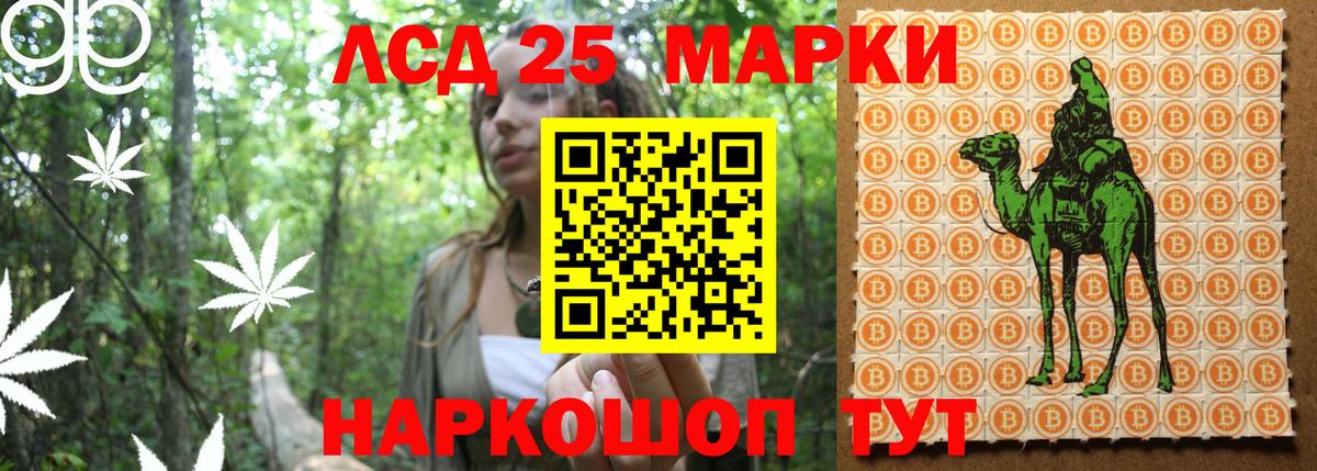 Наркотические марки 1,5мг  Вход с VPN  Наркотические марки 1,5мг  Марки N-bome  Курск 