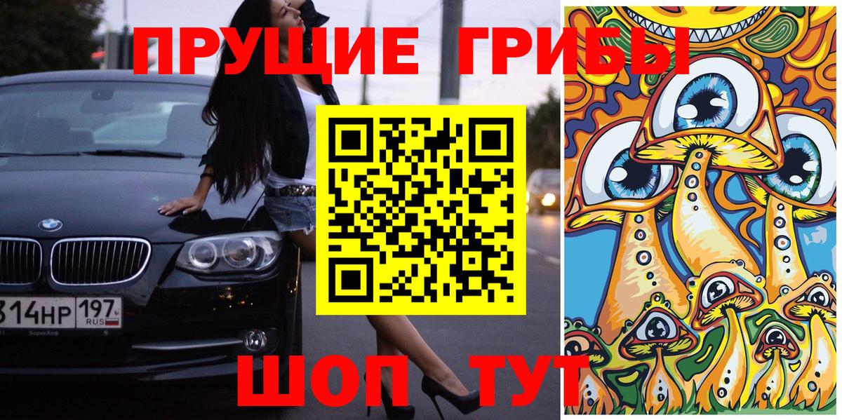 МЕФ Курск