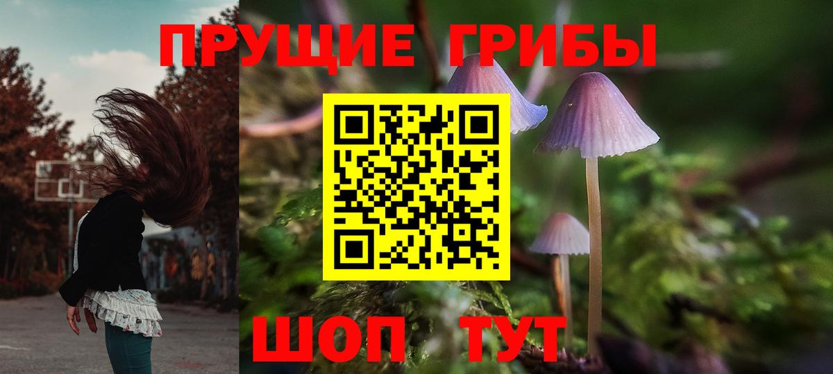 Курск  Псилоцибиновые грибы Magic Shrooms  Галлюциногенные грибы ЛСД  Вход с VPN 