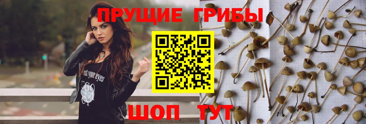 Псилоцибиновые грибы ЛСД Курск